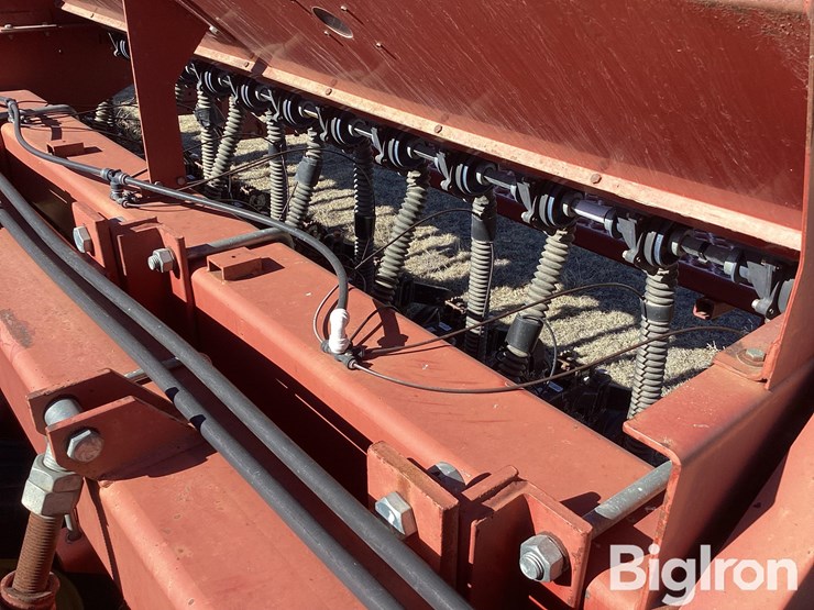 sunflower-9432-40-image-17