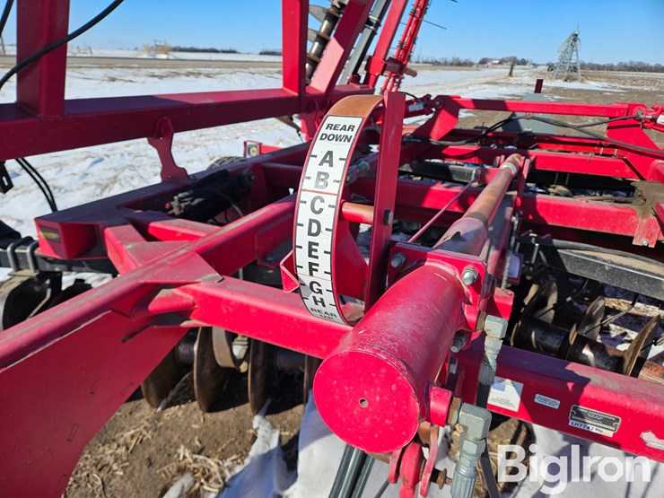 sunflower-1435-image-12