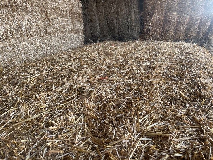 #7417-•-(30)-big-square-bales-of-wheat-straw-(rice-lake,-wi)-image-5