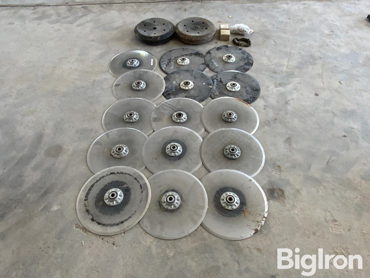 sunflower-9435-image-6