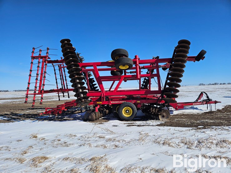 sunflower-1435-image-4