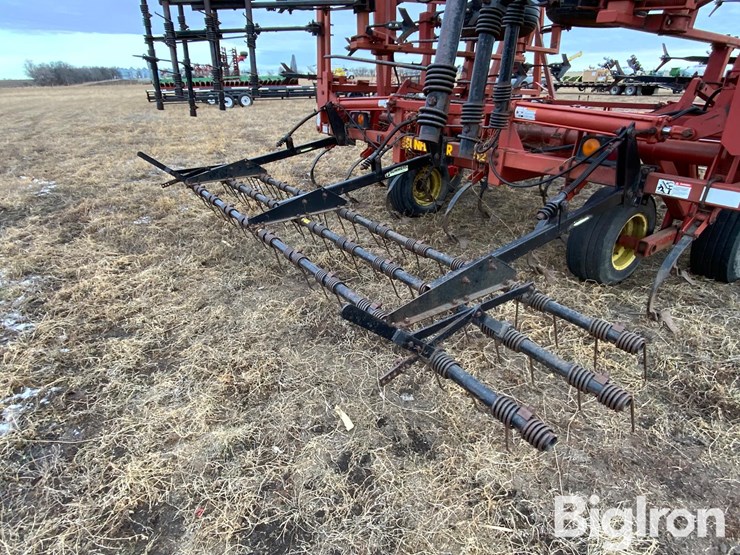 sunflower-5652-image-14