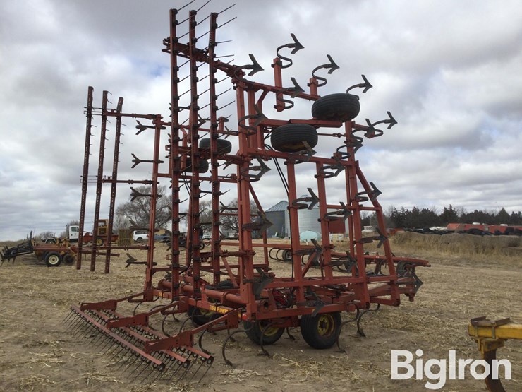 sunflower-5531-image-5