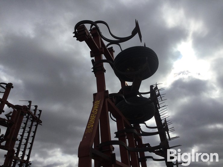 sunflower-5531-image-15