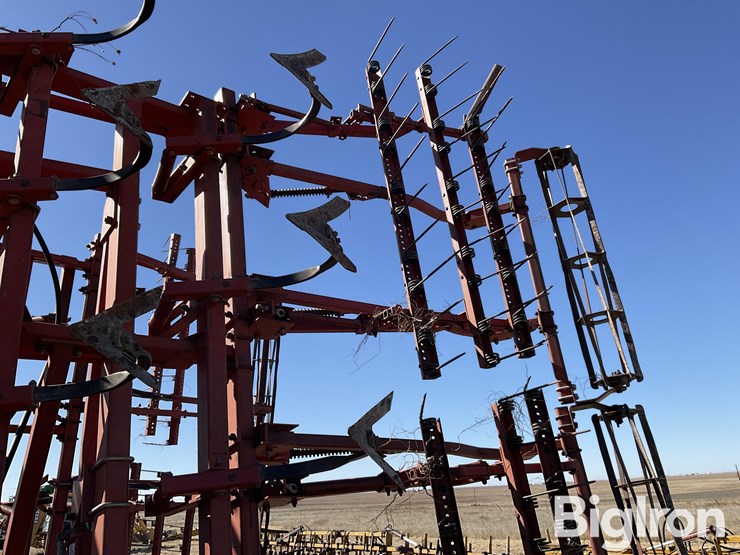 sunflower-6432-33-image-19