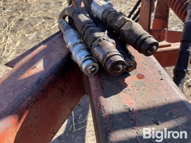 international-490-image-12