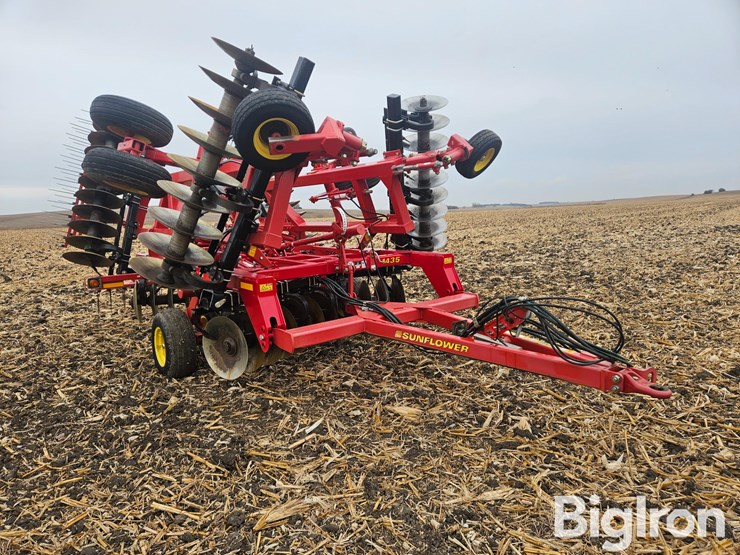 sunflower-1435-23-image-3