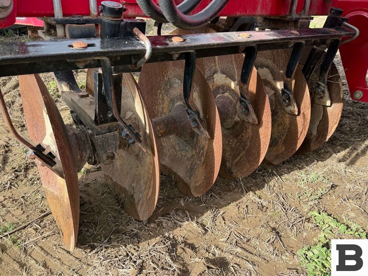 2010-sunflower-1234-18-image-19