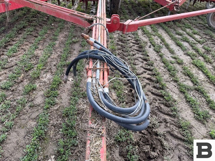 international-10-image-28