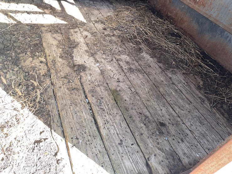 #3262-•-high-view-livestock-trailer-(no-title)-image-11