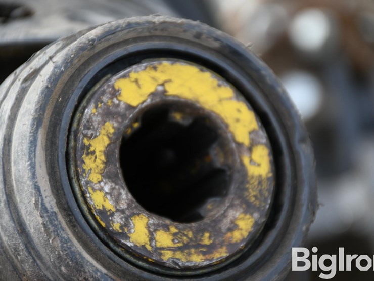 woods-bw15.50-image-10