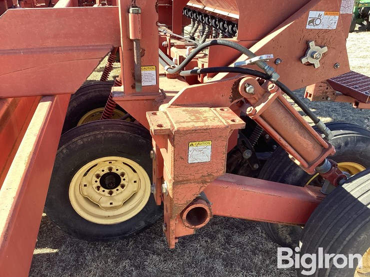 sunflower-9432-40-image-15