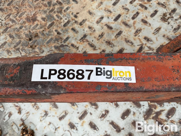 international-3-image-15