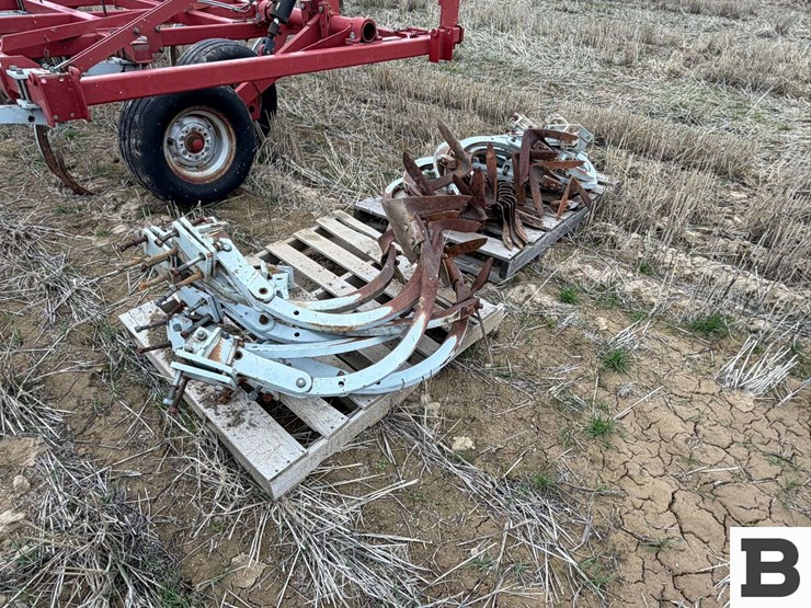 wil-rich-4830-image-6