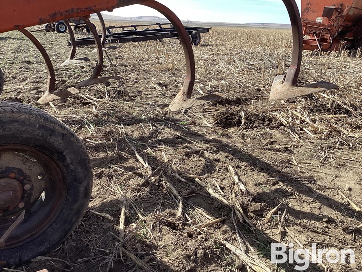 krause-1071-image-17