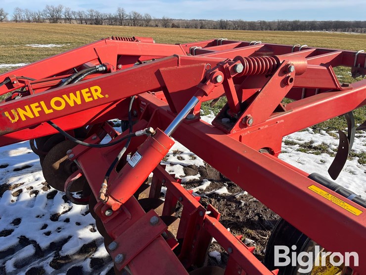 sunflower-4211-14-image-10