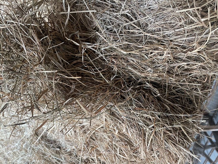 #7414-•-(30)-big-square-bales-of-beef-hay-(rice-lake,-wi)-image-7