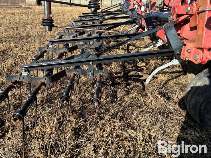 wil-rich-quad-5-image-10