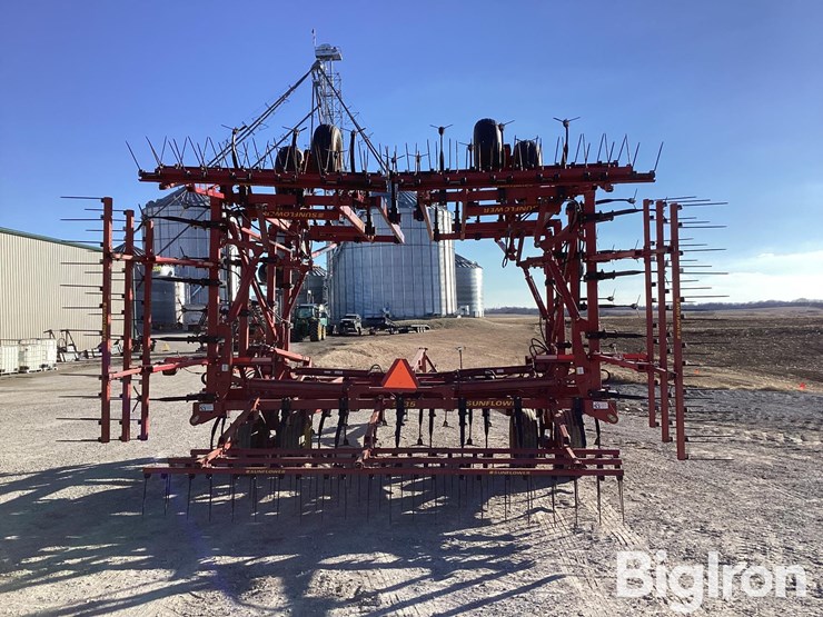 sunflower-5135-42-image-6