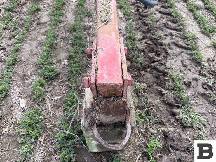 international-10-image-27