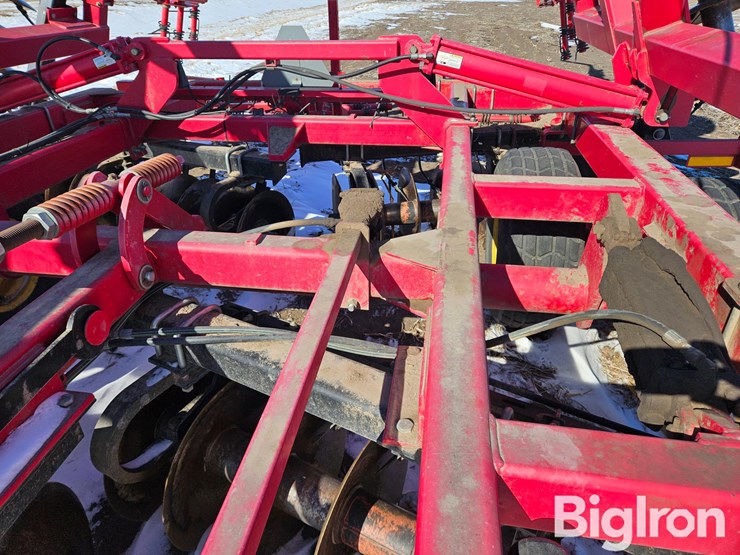 sunflower-1435-image-14