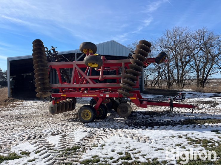 sunflower-1434-26-image-4