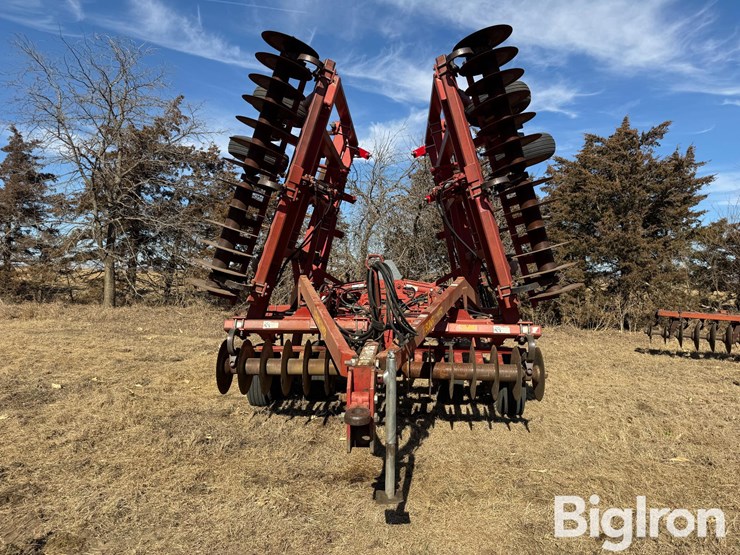 sunflower-4232-image-2