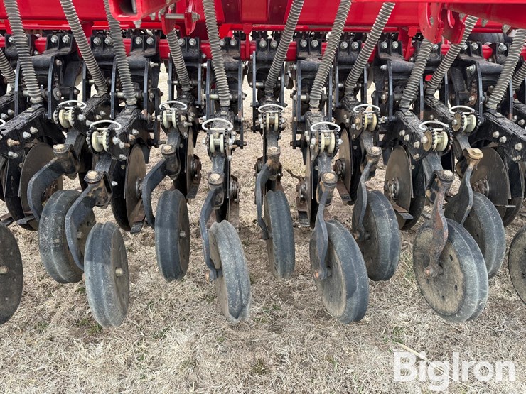 2014-sunflower-9435-40-image-19