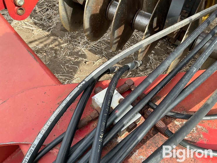 sunflower-1434-29-image-12