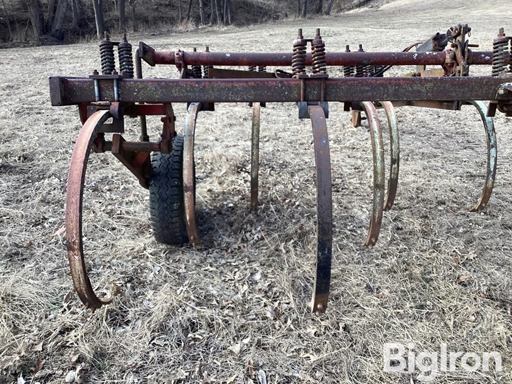 international-13-image-17