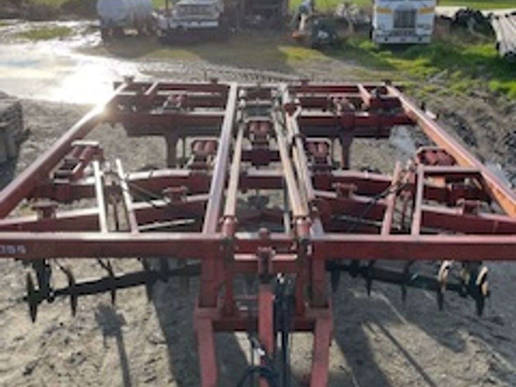 sunflower-4411-image-3