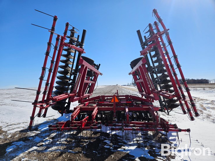 sunflower-1435-image-6