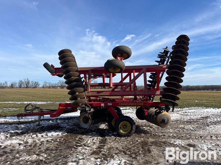 sunflower-1434-26-image-8