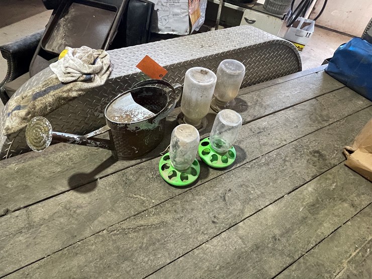 #7229-•-(2)-glass-chicken-waters-image-1