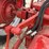 farmall-300-image-42