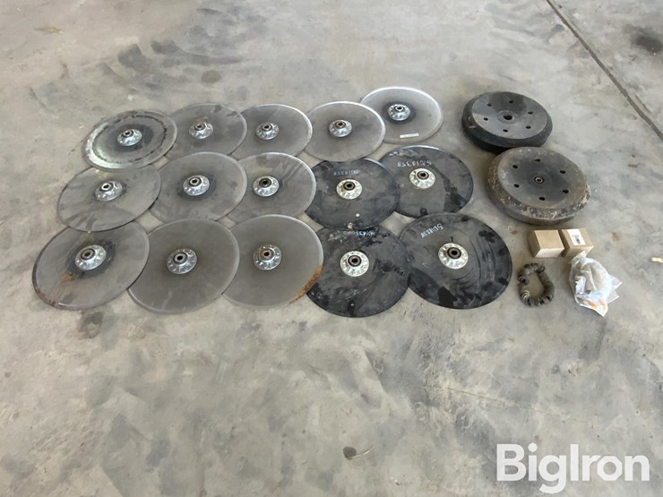 sunflower-9435-image-4