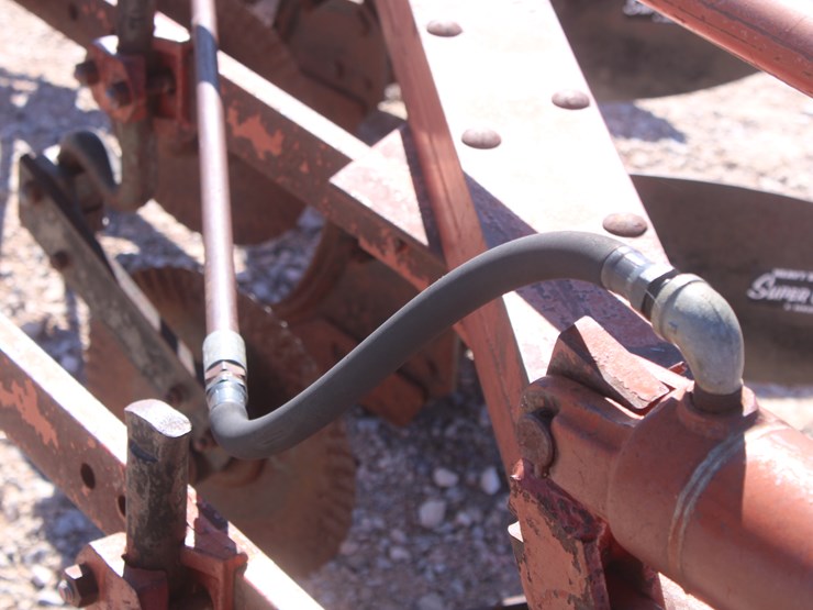 international-5-image-22