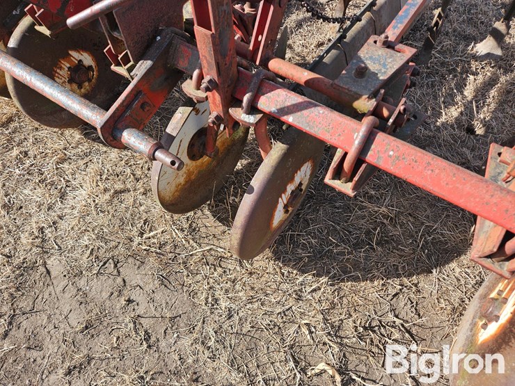 international-470-image-14