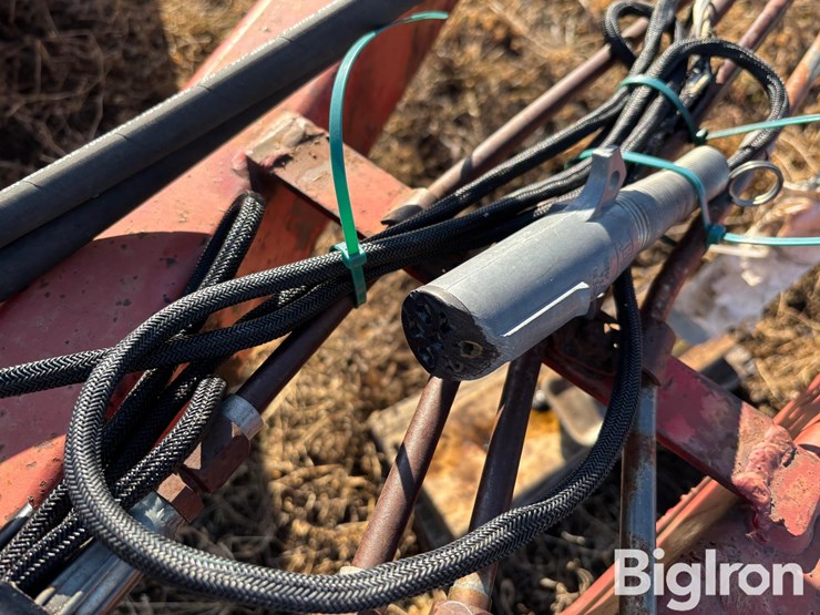 wil-rich-quad-5-image-16