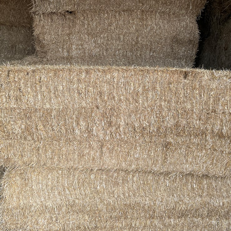 #7416 • (30) Big Square Bales of Wheat Straw (Rice Lake, WI)