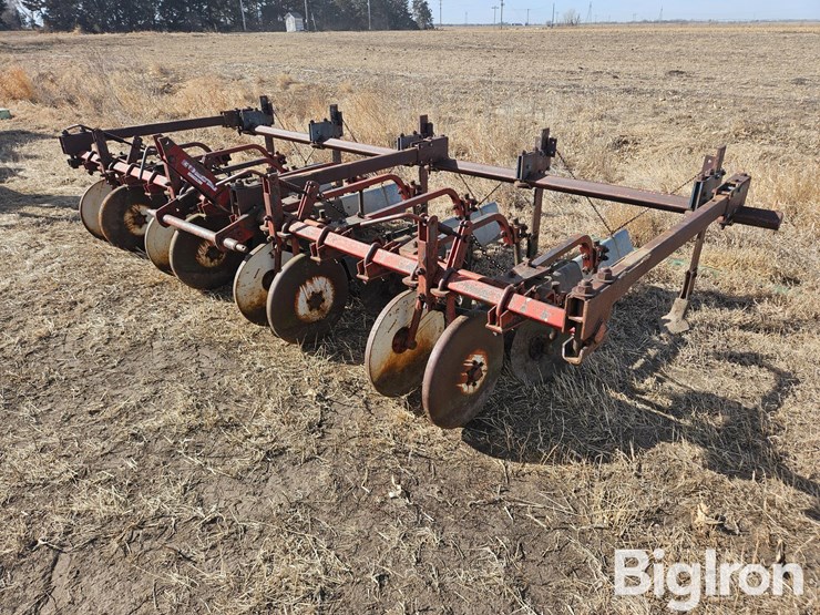 international-470-image-1