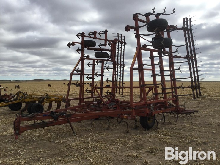 sunflower-5531-image-1