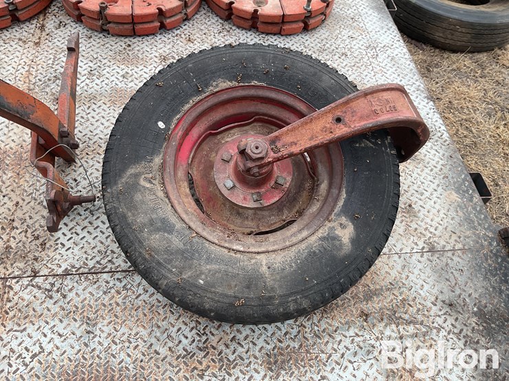 international-m-image-4