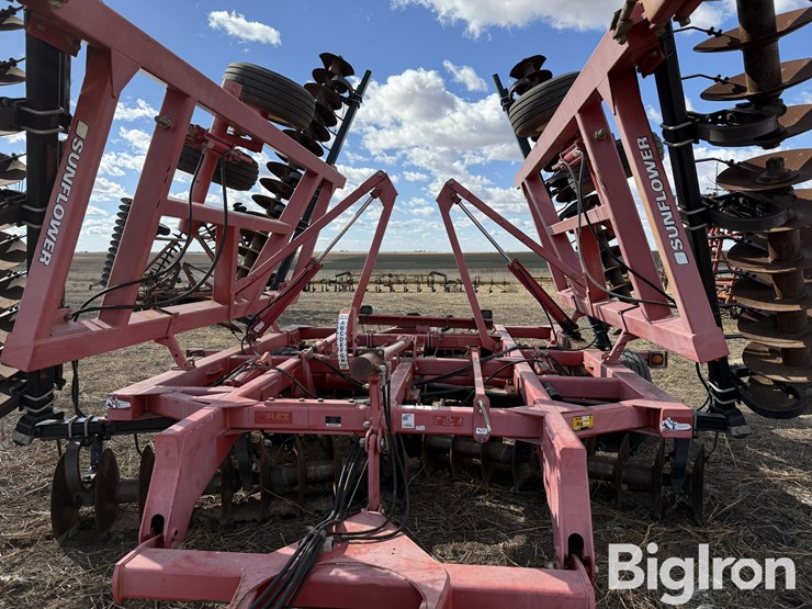 sunflower-1434-36-image-16