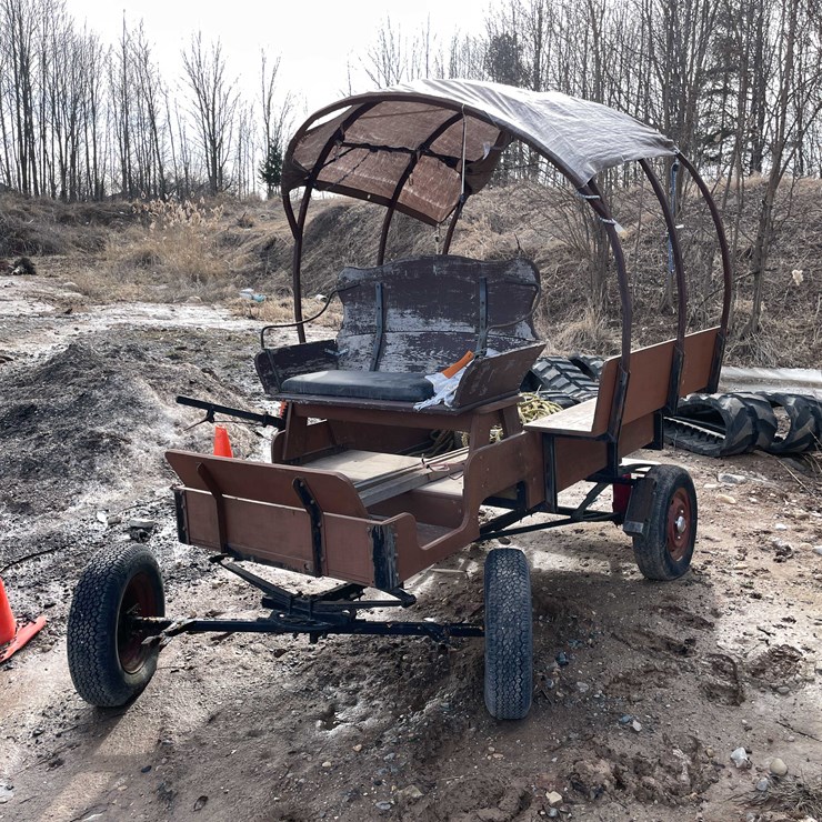 #6011 • Horse Drawn Carriage (Denmark, WI)