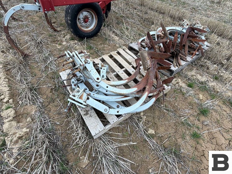 wil-rich-4830-image-37