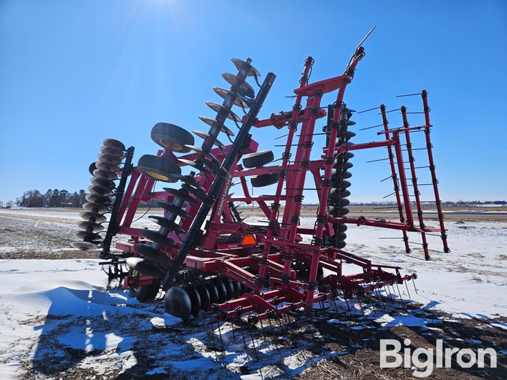 sunflower-1435-image-7