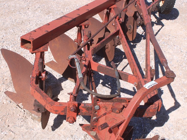 international-5-image-11