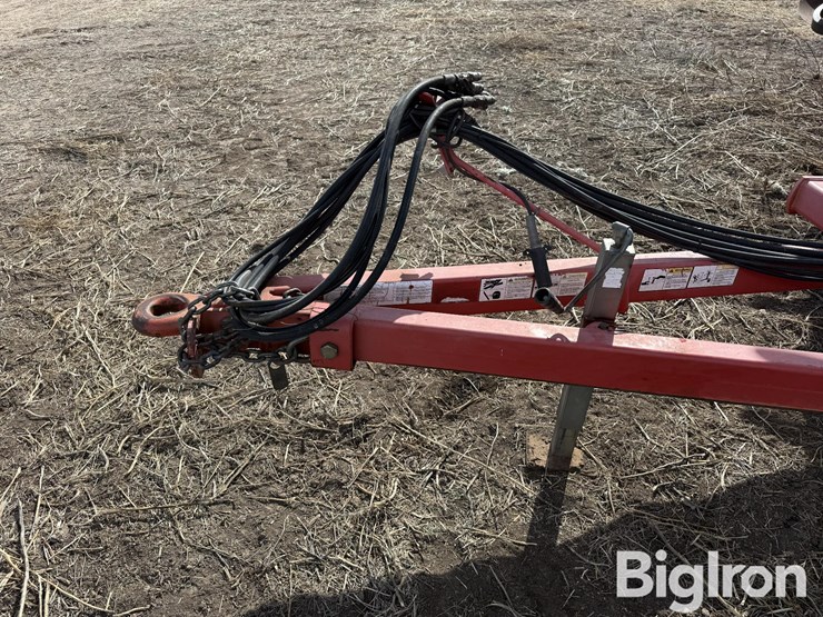 sunflower-1434-36-image-9