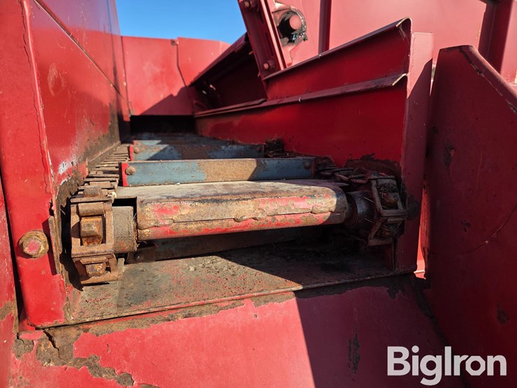 kelly-ryan-4x10-image-19